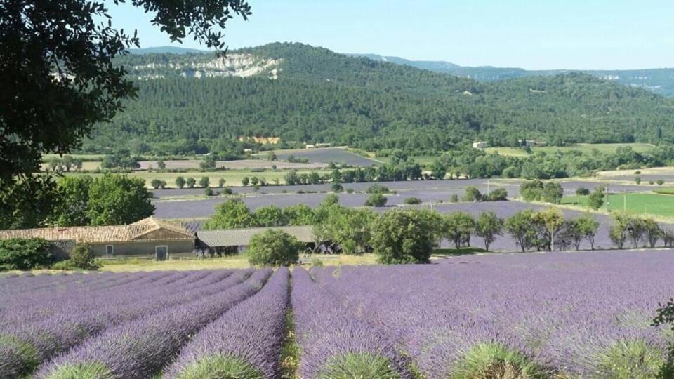 Privee Independante Au Coeur Du Luberon Saint-Saturnin-les-Apt